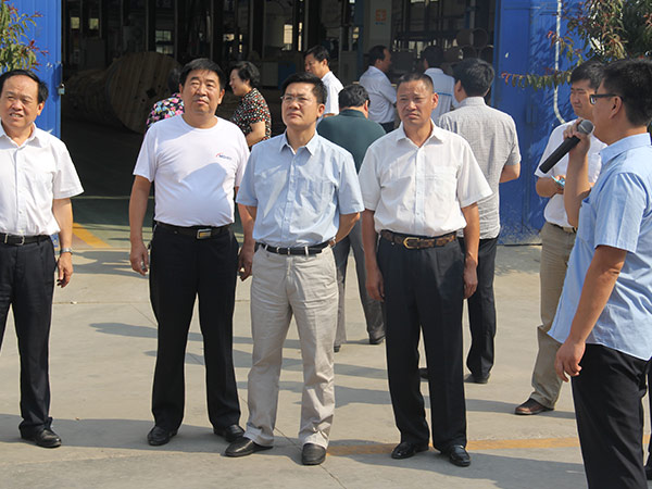 邢台市市长孟祥伟到立博线缆集团视察